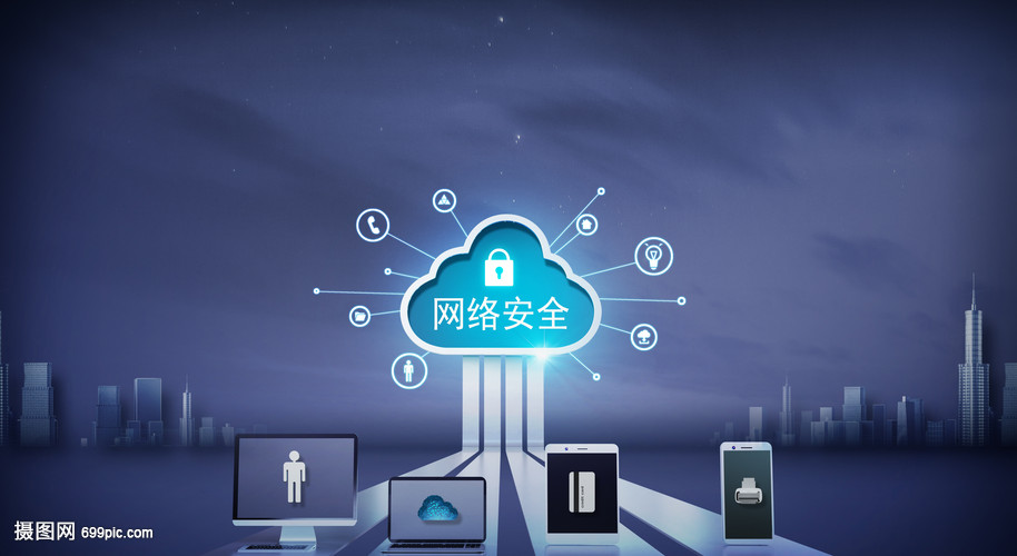 網(wǎng)絡(luò)安全與網(wǎng)絡(luò)技術(shù) 數(shù)字化時代的雙刃劍